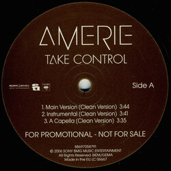 Amerie Take Control / That's What U R USED VINYL 12INCH PROMO