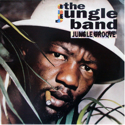 The Jungle Band Jungle Groove Vinyl LP USED