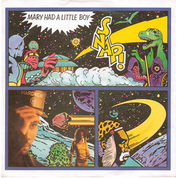 Snap! Mary Had A Little Boy Vinyl 7" USED