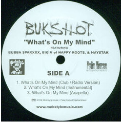 Bukshot What's On My Mind USED VINYL 12INCH PROMO