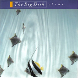 The Big Dish Slide VINYL 7" USED