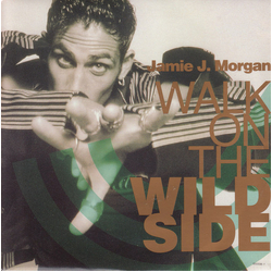 Jamie J. Morgan Walk On The Wild Side Vinyl 7" USED