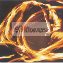 The Sunflowers It's Only Everything Vinyl 7" USED