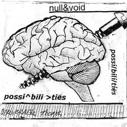 Null And Void Possibilities (Discoverable Thoughts) Vinyl LP USED