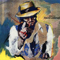 David Liebman What It Is Vinyl LP USED