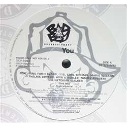 Various You USED VINYL 12INCH 33 S RPM PROMO