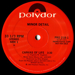 Minor Detail Canvas Of Life Vinyl 12" USED