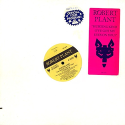 Robert Plant Hurting Kind (I've Got My Eyes On You) Vinyl 12" USED