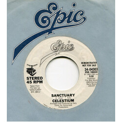 Celestium (2) Sanctuary USED VINYL 7INCH 45 RPM SINGLE PROMO STYRENE