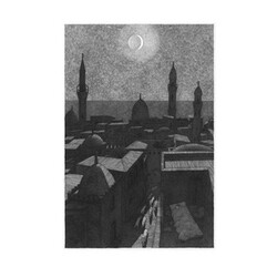 New Build Misery Loves Company USED VINYL 12INCH EP LIMITED EDITION