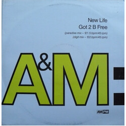 New Life Got 2 B Free VINYL 12" USED
