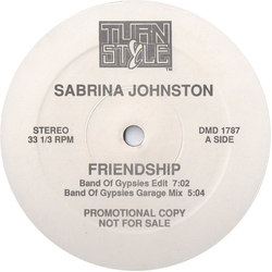 Sabrina Johnston Friendship Vinyl 12" USED