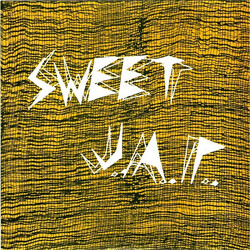 Sweet J.A.P. I'm Only Moonlight USED VINYL 7INCH 45 RPM SINGLE