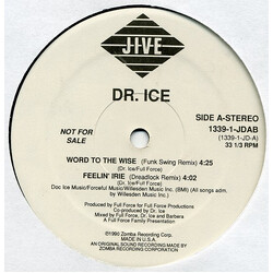 Doctor Ice Word To The Wise VINYL 12" USED