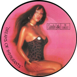 Sandii & The Sunsetz Dreams Of Immigrants USED VINYL 7INCH 45 RPM SINGLE PICTURE DISC