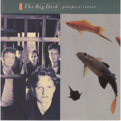 The Big Dish Prospect Street USED VINYL 7INCH