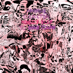 Animal Collective Monkey Been To Burn Town USED VINYL 12INCH 33 S RPM
