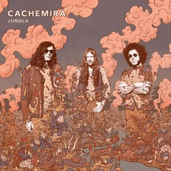 Cachemira Jungla Vinyl LP USED