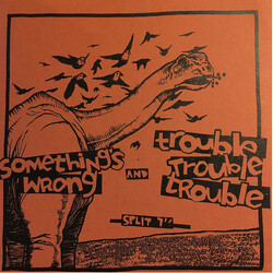 Something's Wrong / Trouble Trouble Trouble Something's Wrong and Trouble Trouble Trouble Split 7" USED VINYL 7INCH