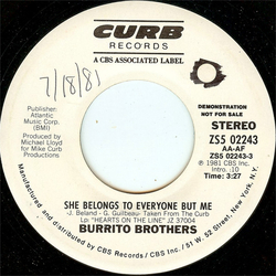 Burrito Brothers She Belongs To Everyone But Me Vinyl 7" USED