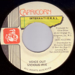 Vicious Irie Voice Out Vinyl 7" USED