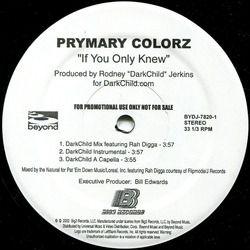 Prymary Colorz If You Only Knew Vinyl 12" USED