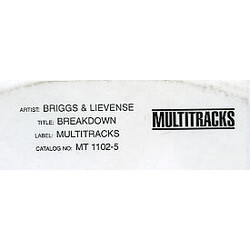 M. Briggs / Dave Lievense Breakdown Vinyl 12" USED