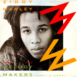 Ziggy Marley And The Melody Makers Tumblin' Down Vinyl 12" USED