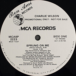 Charlie Wilson Sprung On Me USED VINYL 12INCH 33 S RPM PROMO