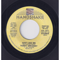 Terry Gregory Just Like Me USED VINYL 7INCH 45 RPM PROMO STYRENE STEREO