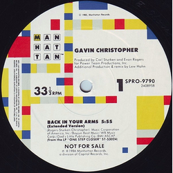 Gavin Christopher Back In Your Arms Vinyl 12" USED