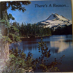Spiritborne There's A Reason Vinyl LP USED
