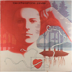 Joe Wise (3) Take All The Lost Home Vinyl LP USED