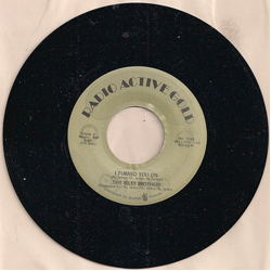 The Isley Brothers I Turned You On / I Know Who You Been Socking It To Vinyl 7" USED