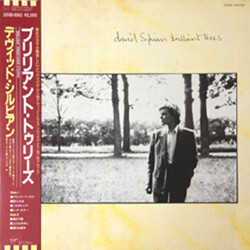 David Sylvian Brilliant Trees = ブリリアント・トゥリーズ Vinyl LP USED