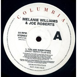 Melanie Williams / Joe Roberts You Are Everything USED VINYL 12INCH 33 S RPM PROMO