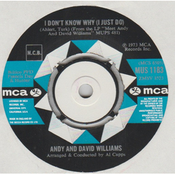 The Williams Brothers I Don't Know Why (I Just Do) Vinyl 7" USED