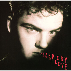 Hue & Cry Labour Of Love VINYL 12" USED