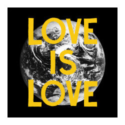 Woods (2) Love Is Love Vinyl LP USED