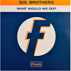 Sol Brothers What Would We Do? VINYL 12" USED