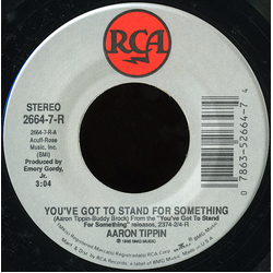 Aaron Tippin You've Got To Stand For Something Vinyl 7" USED