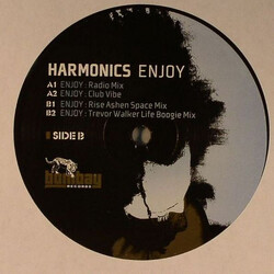 Harmonics Enjoy VINYL 12" USED