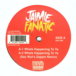 Jaimie Fanatic Whats Happening To Ya USED VINYL 12INCH
