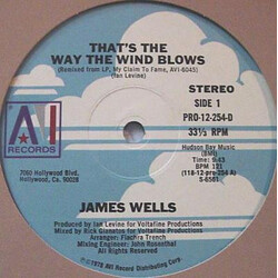 James Wells That's The Way The Wind Blows / All I Ever Need Is Music USED VINYL 12INCH 33 S RPM PROMO