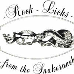 Nick Glennie-Smith Rock Licks From The Snake Ranch Vinyl LP USED