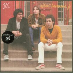 Albert Hammond Jr. 101 Vinyl 7" USED
