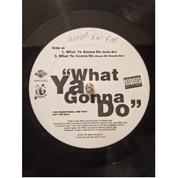 Whop-N-Em What Ya Gonna Do USED VINYL 12INCH