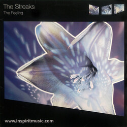 The Streaks The Feeling VINYL 12" USED