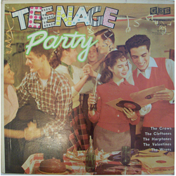 Various Teenage Party Vinyl LP USED