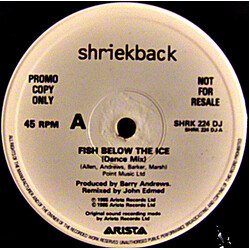 Shriekback Fish Below The Ice USED VINYL 12INCH PROMO SINGLE SIDED